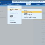 Auto Backup Company Data to TallyDrive